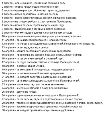 когда сажать семена на рассаду 1.jpg