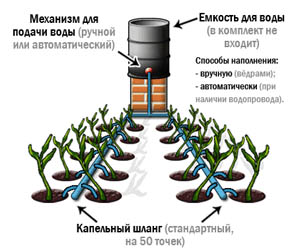 капельный полив цена.jpg