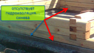 рубим баньку в лапу.png