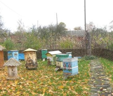 как сделать улей чертежи.jpg