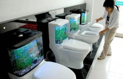 Сколько стоит унитаз.jpg