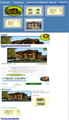 Проект Каприз и другие компании.png