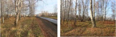 земельные участки в красноярском крае-2.jpg