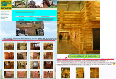Компания на выставке Деревянный дом.png