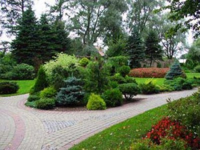 1265305127_3.jpg
