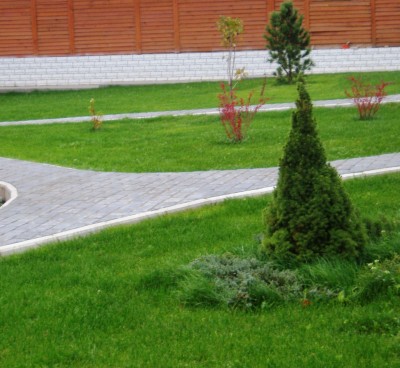 дорожка1.JPG