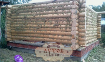 Из фотогаллереи сайта.png