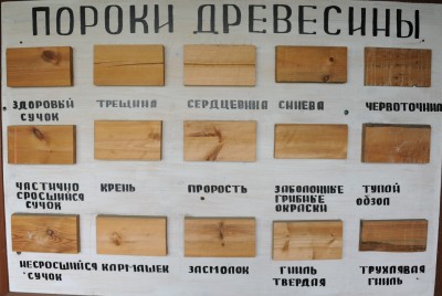 дефекты древесины.jpg