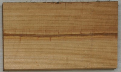 сердцевина.jpg