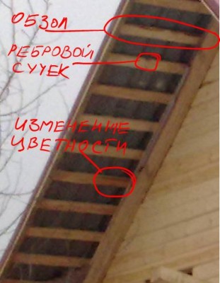 пороки доски.JPG