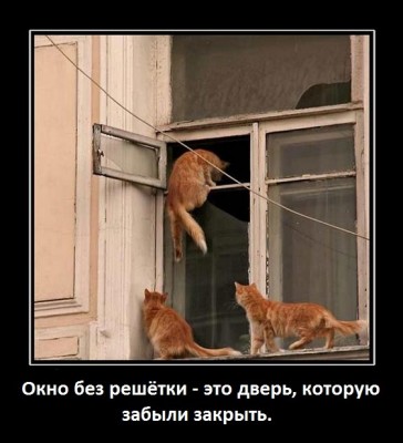 защитить дом и защитить квартиру.jpg