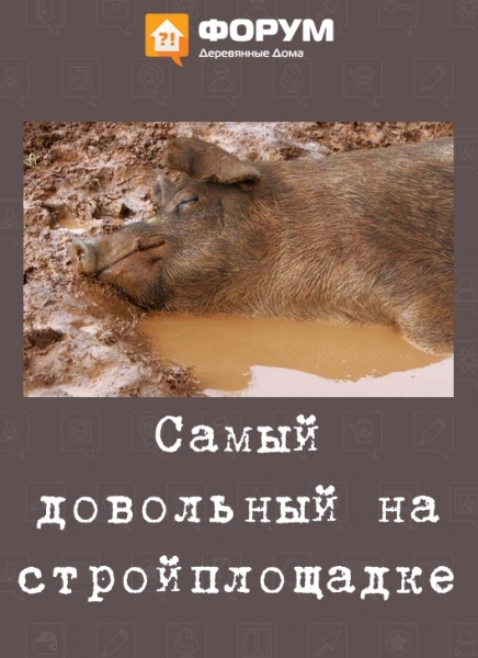 Самый довольный на стройплощадке