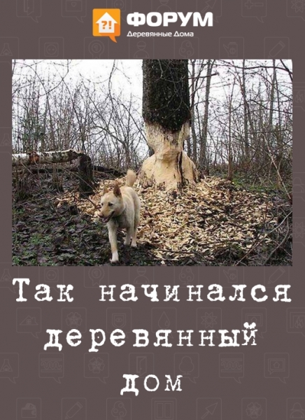 Так начинался деревянный дом