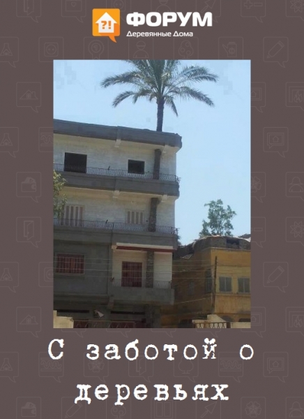 С заботой о деревьях