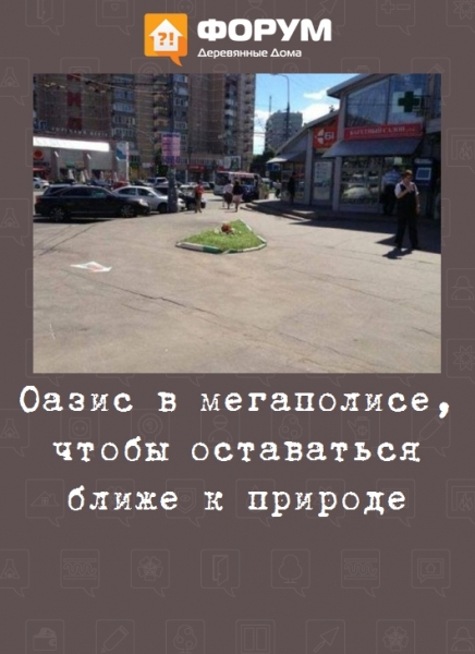 Оазис в мегаполисе, чтобы оставаться ближе к природе