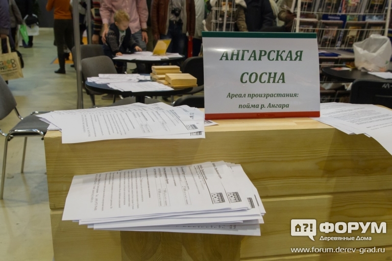 Строительная выставка "Деревянное домостроение Хольцхаус"