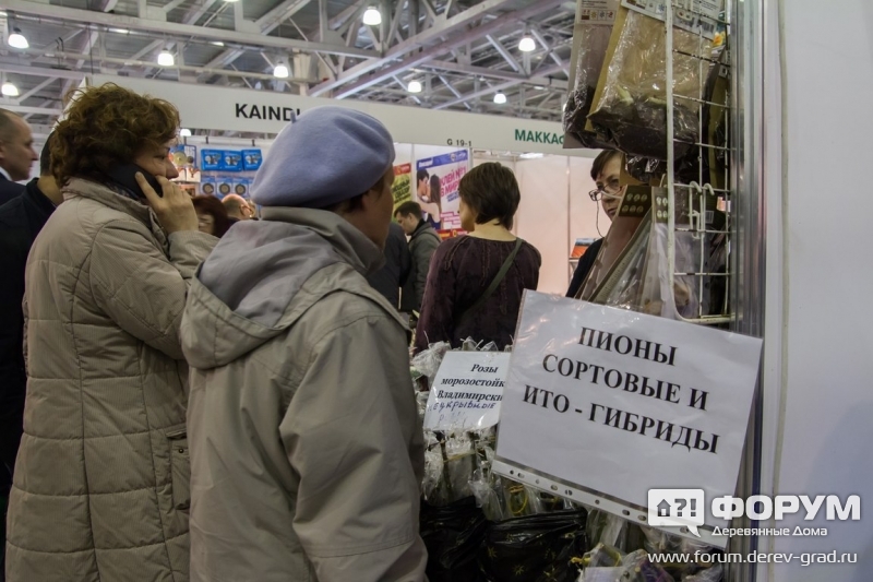 Продажа саженцев