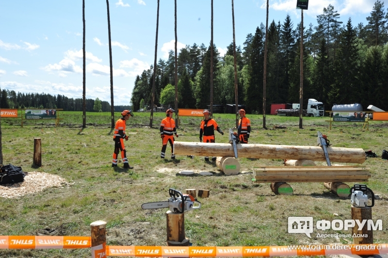 Соревнование лесорубов Штиль (Stihl)