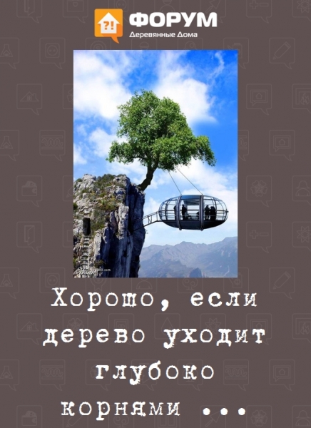Хорошо, если дерево уходит глубоко корнями