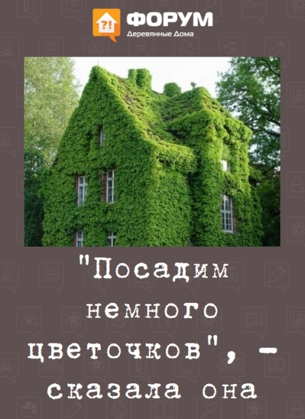 "Посадим немного цветочков", - сказала она