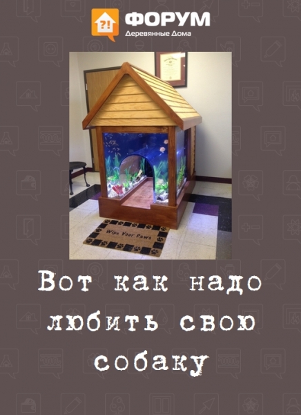 Вот как надо любить свою собаку