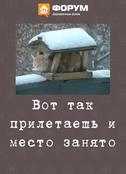 Вот так прилетаешь и место занято