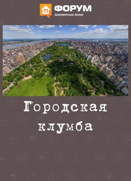 Городская клумба