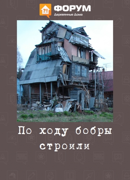 По ходу бобры строили