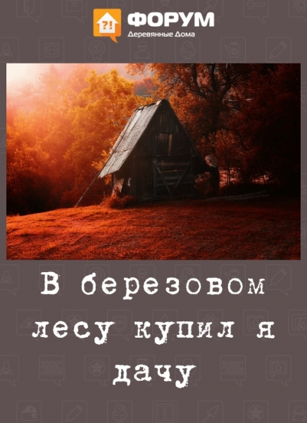 В березовом лесу купил я дачу
