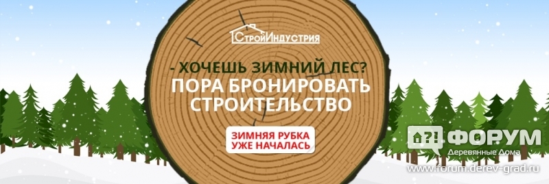 Лес зимней рубки