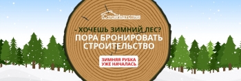 Лес зимней рубки