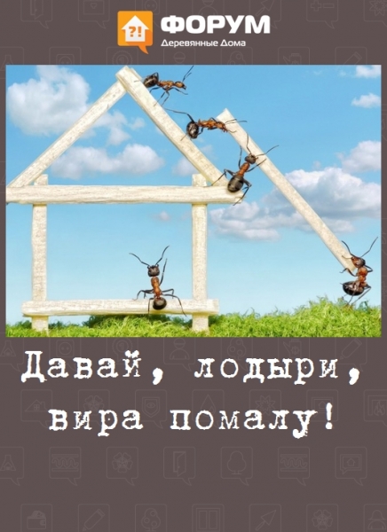Давай, лодыри, вира помалу!