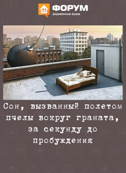 Сон, вызванный полетом пчелы вокруг граната за секунду до пробуждения