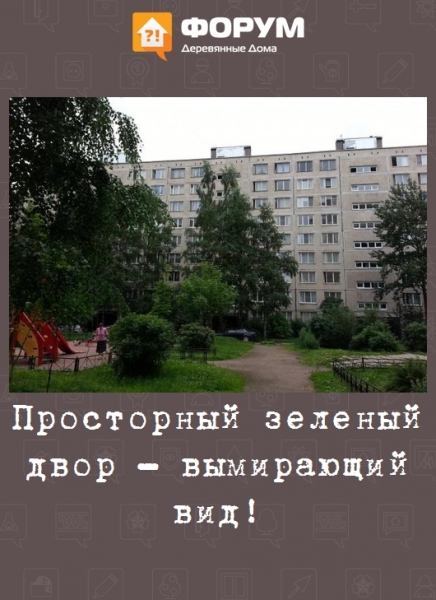 Просторный зеленый двор - вымирающий вид!