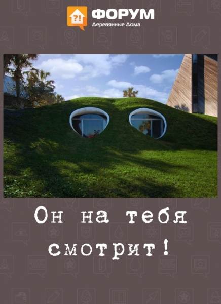 Он на тебя смотрит!