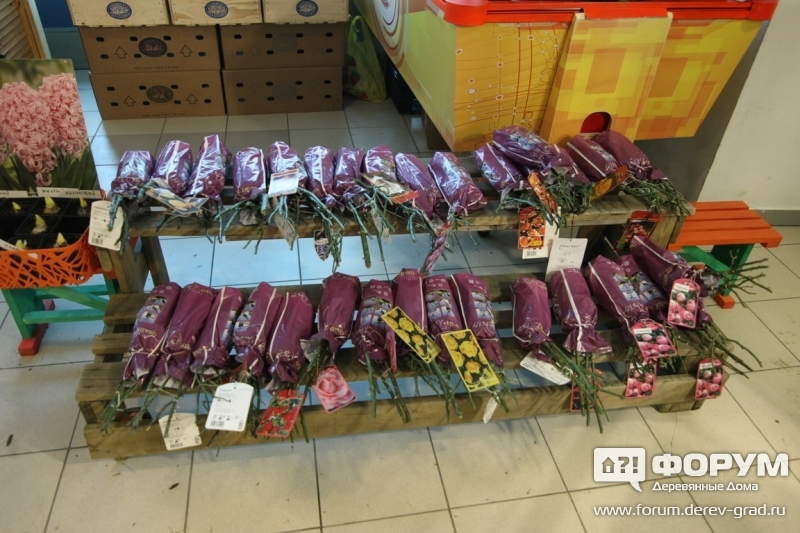 Посадочный материал представляет на выставке садовый центр Солнечный