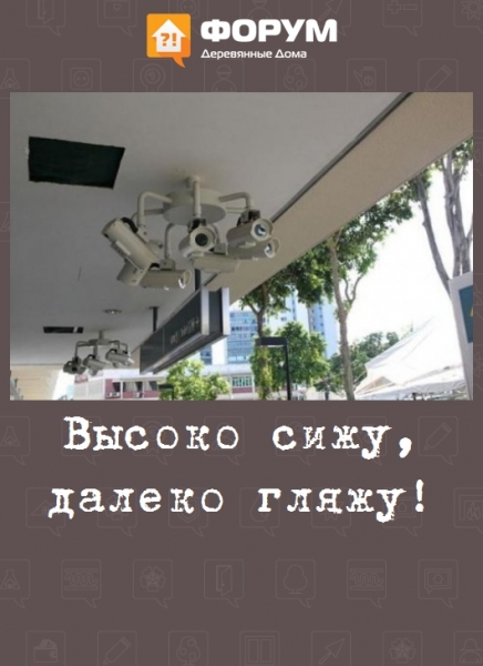 Высоко сижу, далеко гляжу!