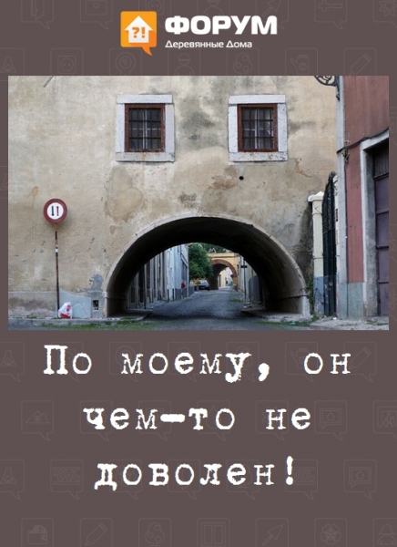 По моему, он чем-то не доволен!