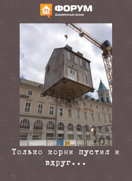 Только корни пустил и вдруг...