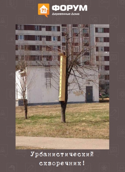 Урбанистический скворечник!