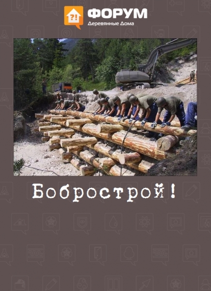 Бобрострой!