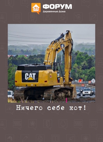 Ничего себе кот!