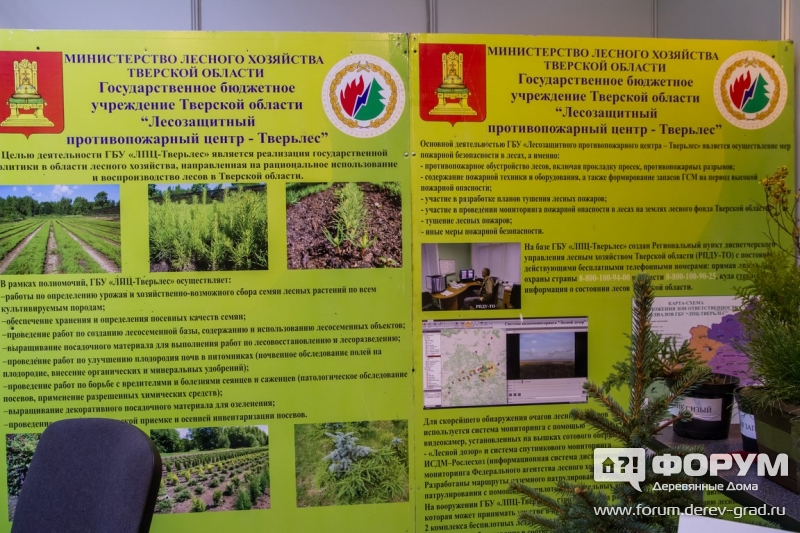 Деревообрабатывающее оборудование от компании Тверьинтерлес (1)