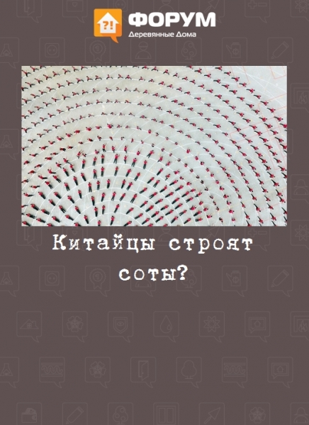 Китайцы строят соты?