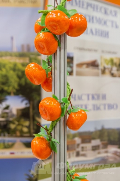Коммерческая недвижимость в Испании от компании Toros Estate (Торос Эстейт) (3)