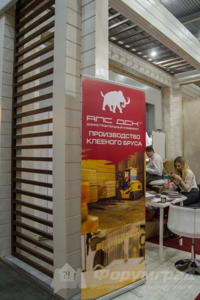 Каменные дома от компании АПС ДСК (4)