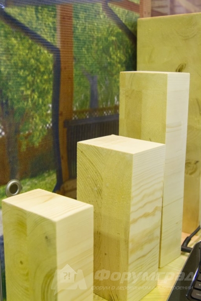 Деревянные дома от компании Holzbalken (Хольцбалкен) (1)