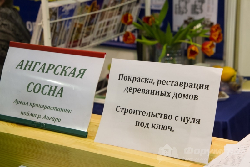 Строительная выставка Holzhaus 2017  (5)