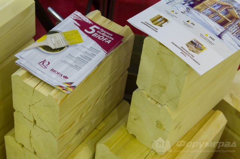 Строительная выставка Holzhaus 2017  (13)