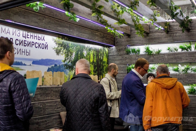Дома из ценных пород сибирской древисины от компании КЛМарт (3)